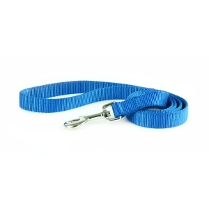 Nylon 3/8in Blue Dog Leash