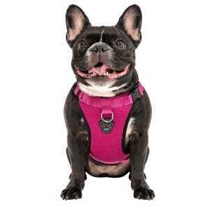 The Everything Mesh Dog Harness Pink