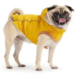 Insulated Raincoat Yellow
