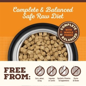 Freeze-Dried Raw Pronto Beef Recipe Adult Dog Food