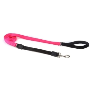 Bungee Leash 1in Hot Pink