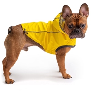 Reversible Yellow Raincoat