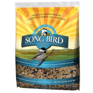 Song Bird Wild Bird Seed