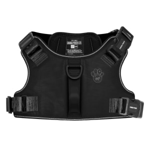 Complete Control Black Dog Harness