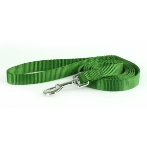Nylon 1in Dark Green Dog Leash