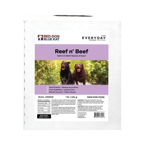 Everyday Raw Reef n' Beef Salmon & Beef Adult Dog Food