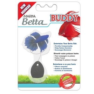 Betta Buddy Blue