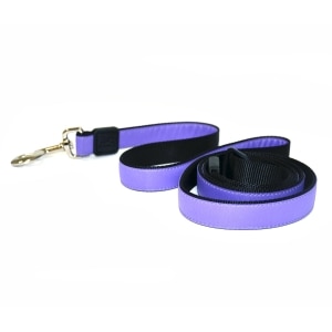 Nylon 1in Purple Dog Leash