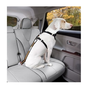 Direct to Seatbelt Dog Car Tether With Carabiner