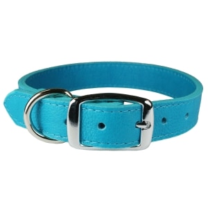Luxe Leather Collar Turquoise