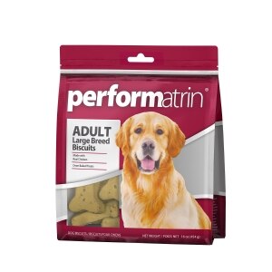 Adult Large Breed Biscuits Dog Treats