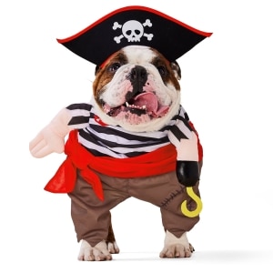 Pirate Walker Halloween Costume