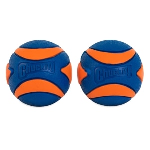 Ultra Squeaker Ball Dog Toy
