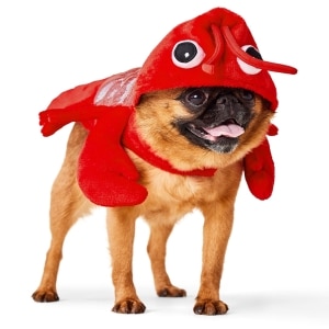 Sparkle Lobster Red Halloween Costume