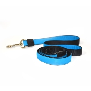 Nylon 3/4in Blue Dog Leash