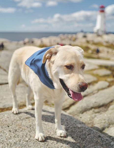 Let's Go Outside - Peggy's Cove, NS