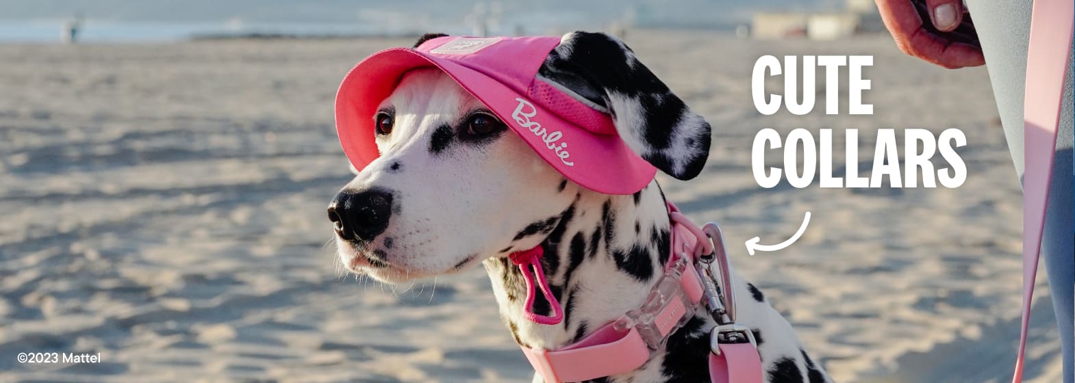 Barbie Landing Page - Image gallery preview - Shop Barbie collars, leashes and harnesses
