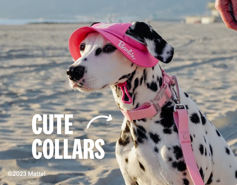 Barbie Landing Page - Image gallery preview - Shop Barbie collars, leashes and harnesses