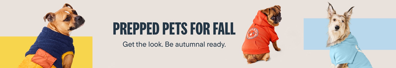 Prepped Pets for Fall - Get the look. Be autumnal ready.