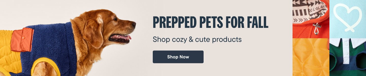 Prepped Pets for Fall. Get the Look. Be autumnal ready. Shop for Fall