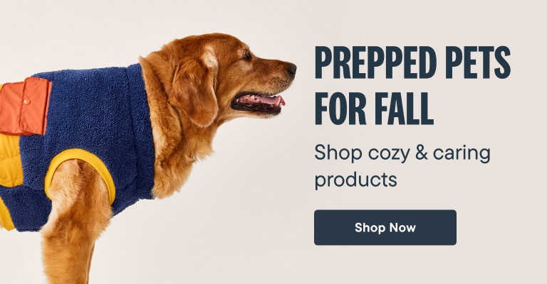 Prepped Pets for Fall. Get the Look. Be autumnal ready. Shop for Fall