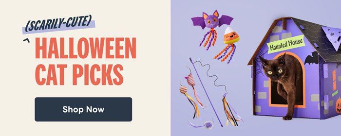 Scarily-Cute Halloween Cat Picks: Shop costumes and toys for tricks & treats - Shop Now