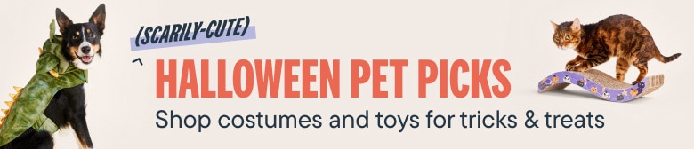 Scarily-Cute Halloween Pet Picks, Shop costumes and toys for tricks & treats