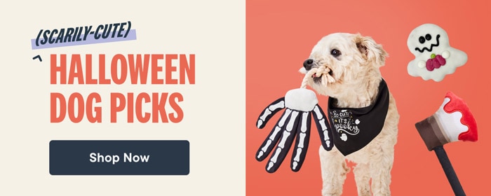 Scarily-Cute Halloween Dog Picks: Shop costumes and toys for tricks & treats - Shop Now