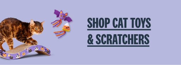 Shop cat toys -  shop Halloween toys for cats