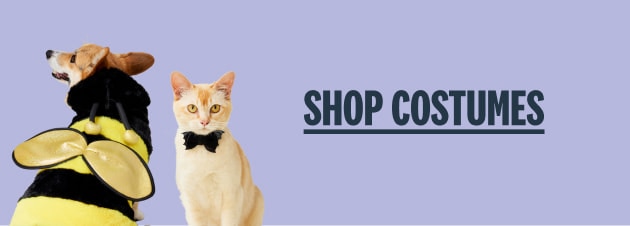 Shop Costumes - Shop Halloween dog and cat costumes