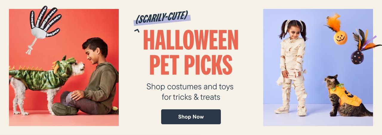 Halloween Pet Picks - Shop Costumes and Toys for Trick & Treats