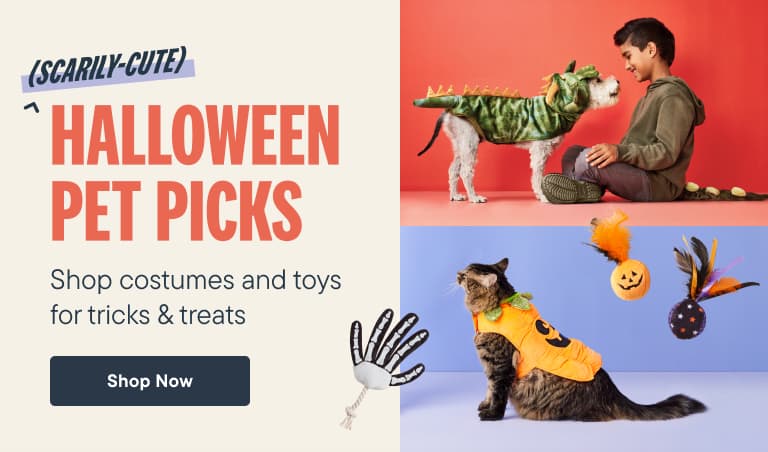 Halloween Pet Picks - Shop Costumes and Toys for Trick & Treats