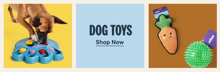 New Arrivals - JUMP! Paw Puzzle Dog Toy; JUMP! Tuff Carrot Dog Toy; JUMP! Dental Squeaker Ball Green Dog Toy