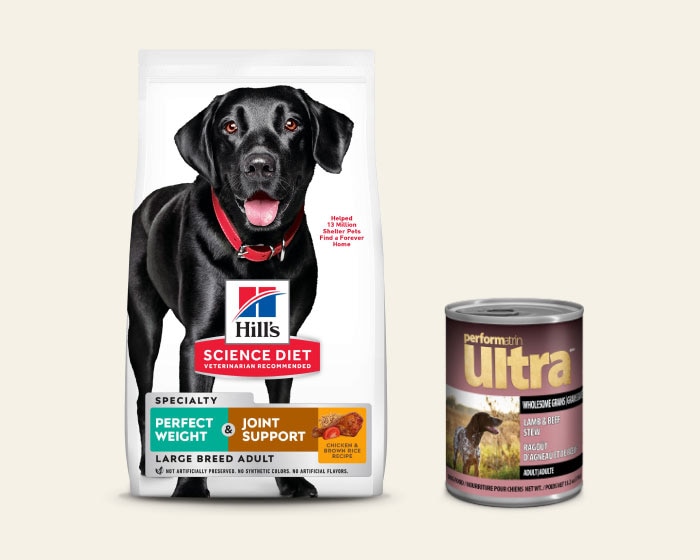 New Arrivals - Performatrin Ultra Wholesome Grains Lamb & Beef Stew Adult Dog Food; Hill's Science Diet Perfect Weight + Joint Support Chicken Recipe Large Breed Adult Dog Food