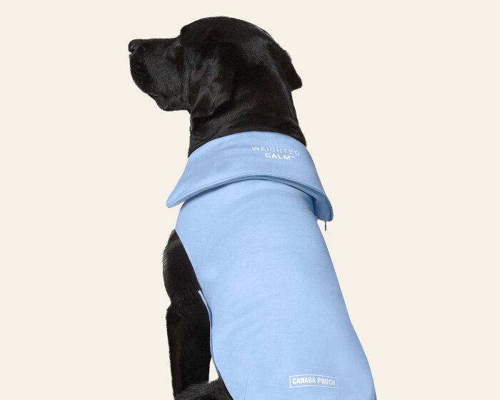 New Arrivals - Canada Pooch Weighted Blue Calming Vest