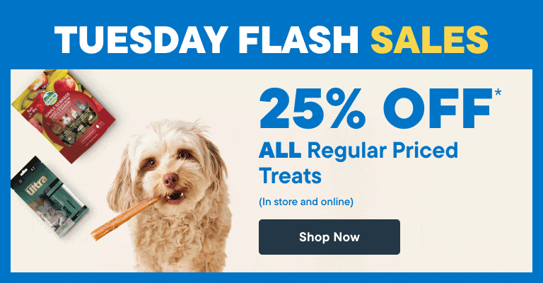 Tuesday Flash Sale - Today Only! 25% off ALL Regular Priced treats - Shop Now