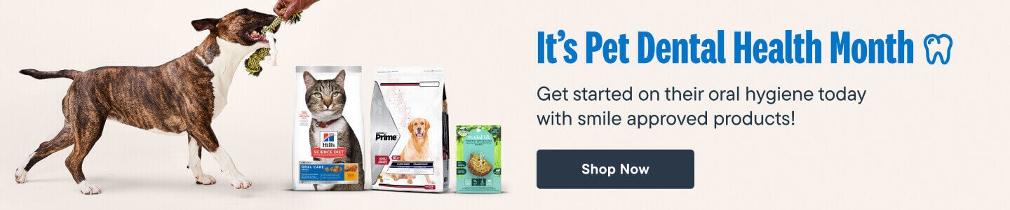 It’s Pet Dental Health Month. Get started on their oral hygiene today with smile approved products! Shop Now