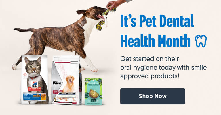 It’s Pet Dental Health Month. Get started on their oral hygiene today with smile approved products! Shop Now