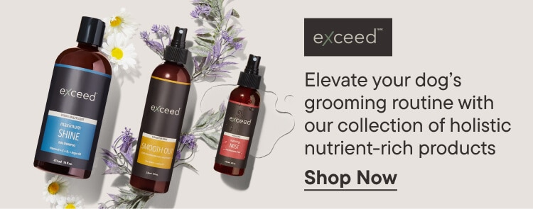 Exceed - Exclusive Everyday, Beauty & Wellness - Shop Now.