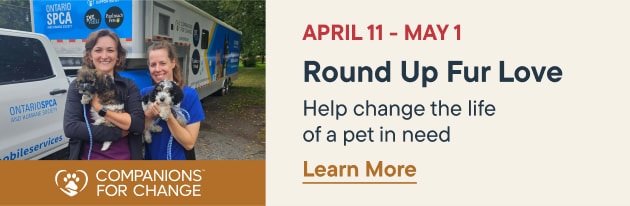 Round Up Fur Love April 11 - May 1. Help change the life of a pet in need. Learn More