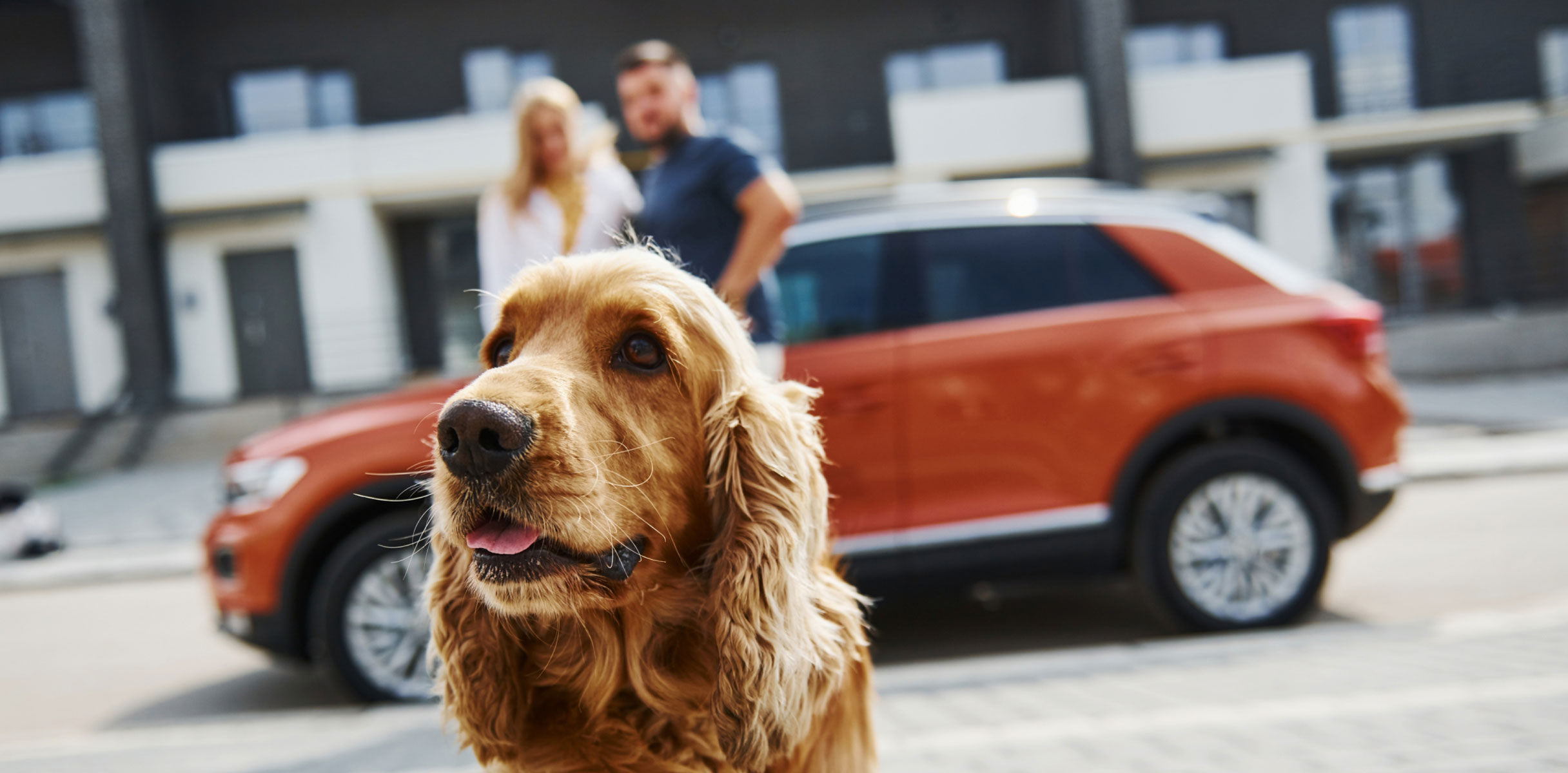 Dog sitting outside a car with a couple