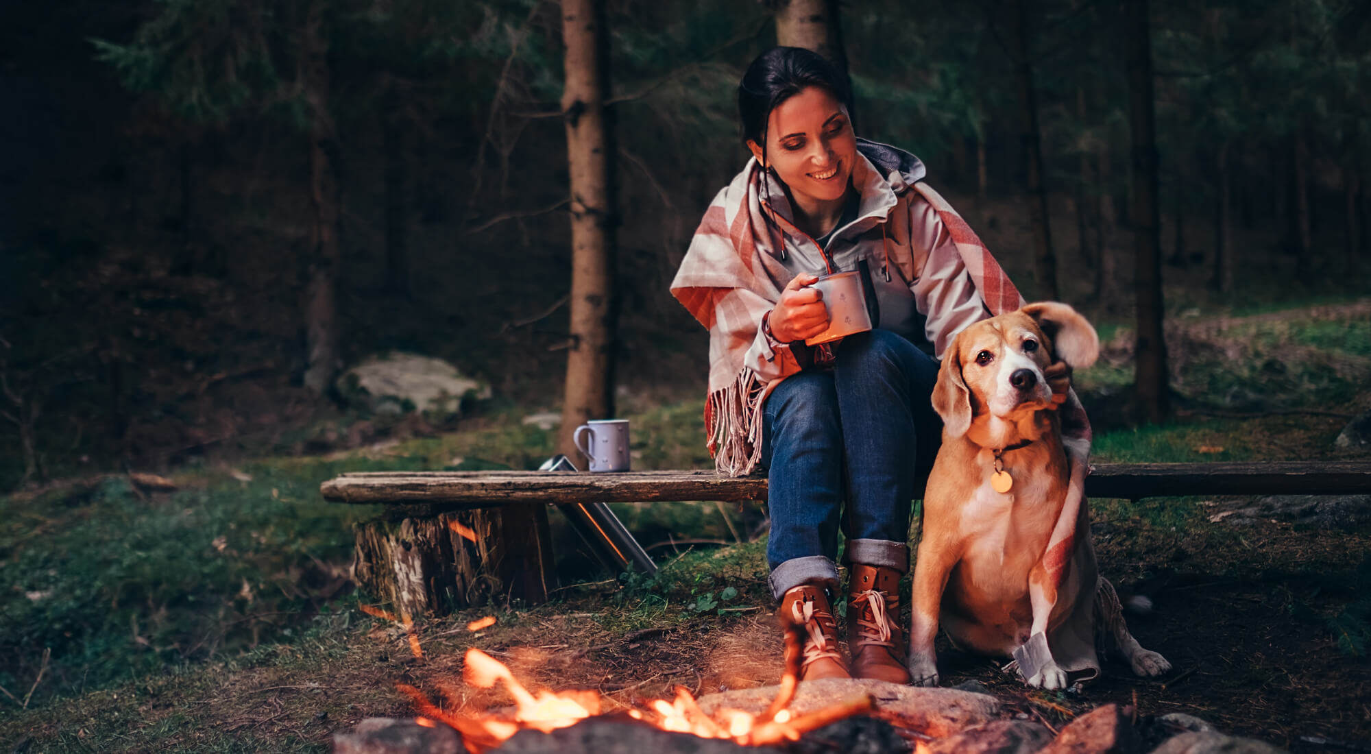Dog sitting with owner at a camp fire
