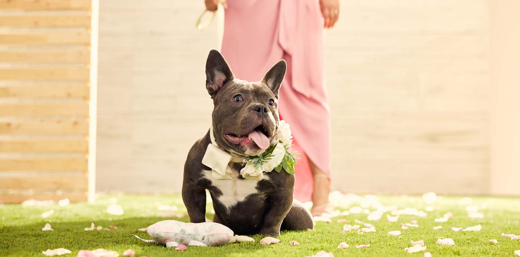 A dog sitting in front of his owner in a wedding