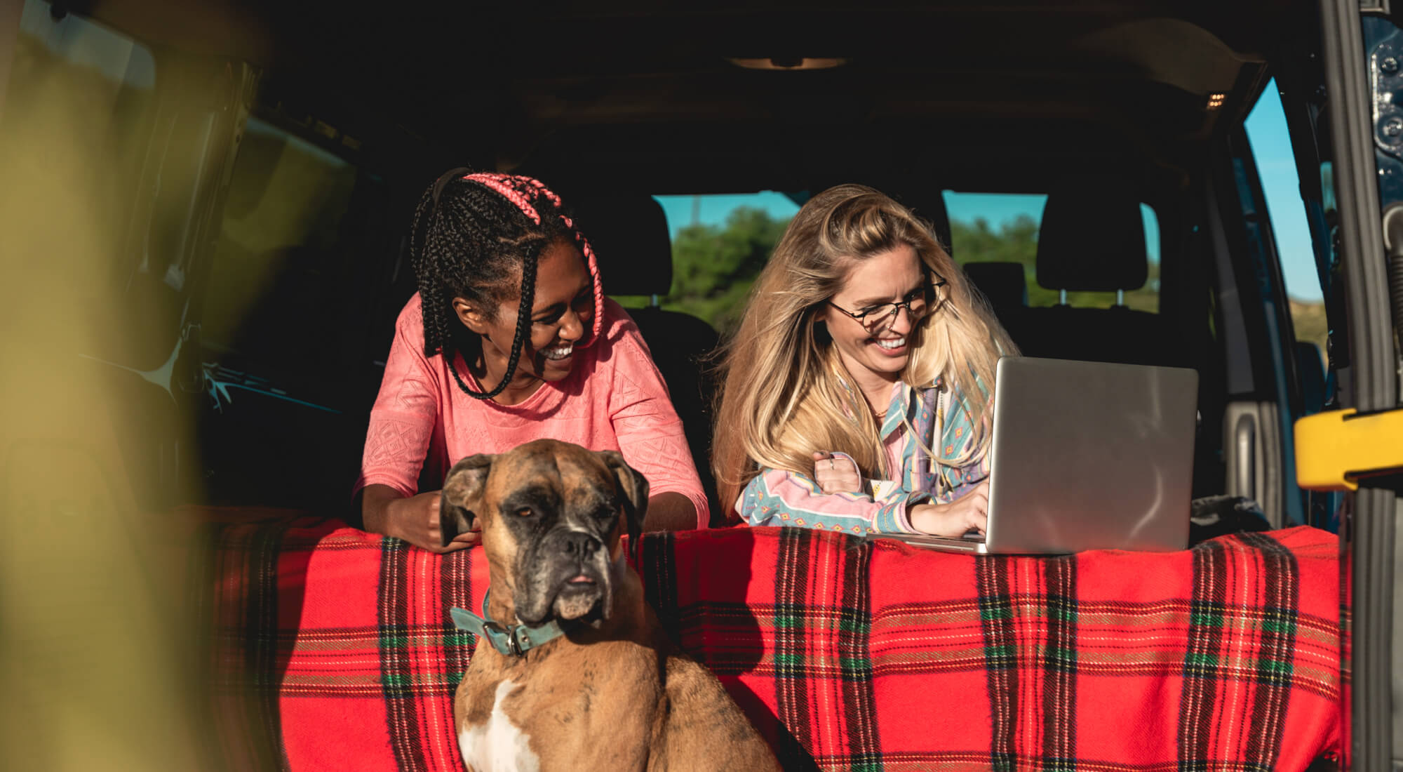 Boxer dog sitting in back of car with two women watching a laptop