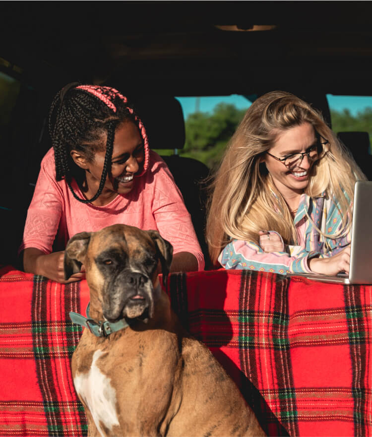 Boxer dog sitting in back of car with two women watching a laptop