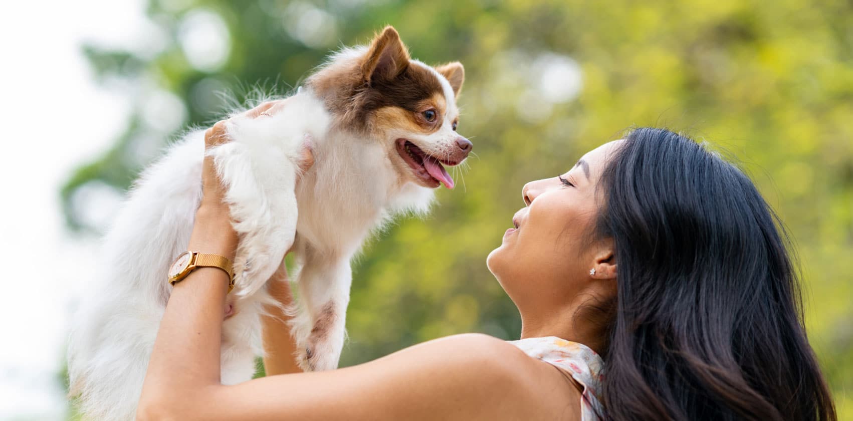 3 ways to bond with your pet this summer - Woman lifting her dog up