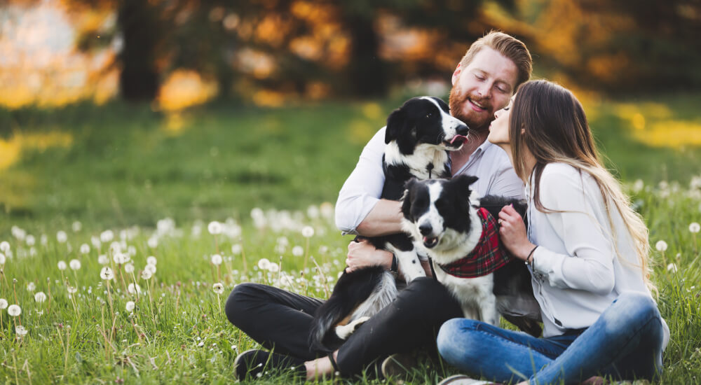 couple cuddling two dogs sitting on a grass field