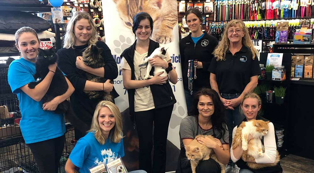 group of volunteers holding cats