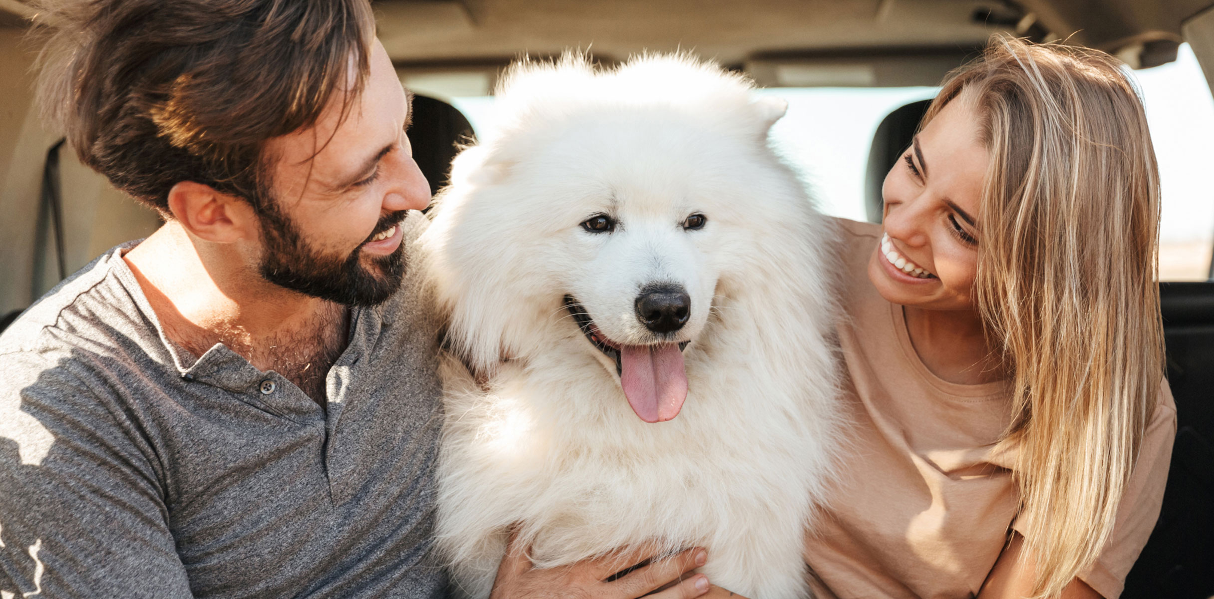 White dog with couple in a car