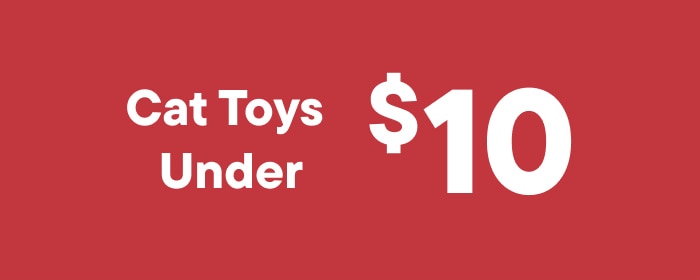 Cat Toys Under $10
